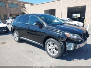  Salvage Lexus RX