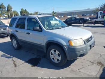  Salvage Ford Escape