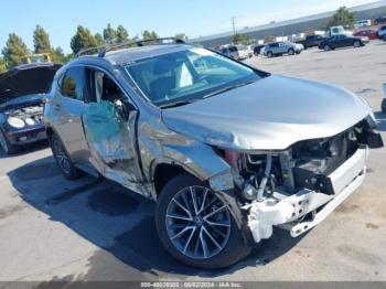  Salvage Lexus NX