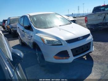  Salvage Ford Escape