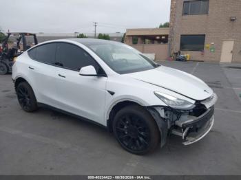  Salvage Tesla Model Y