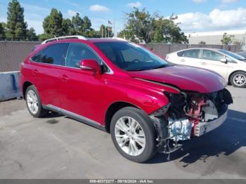  Salvage Lexus RX