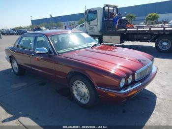  Salvage Jaguar Xj8