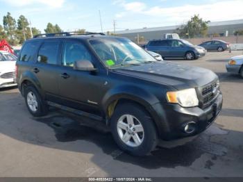  Salvage Ford Escape