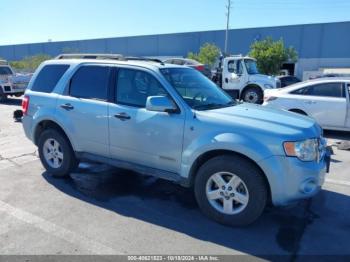  Salvage Ford Escape