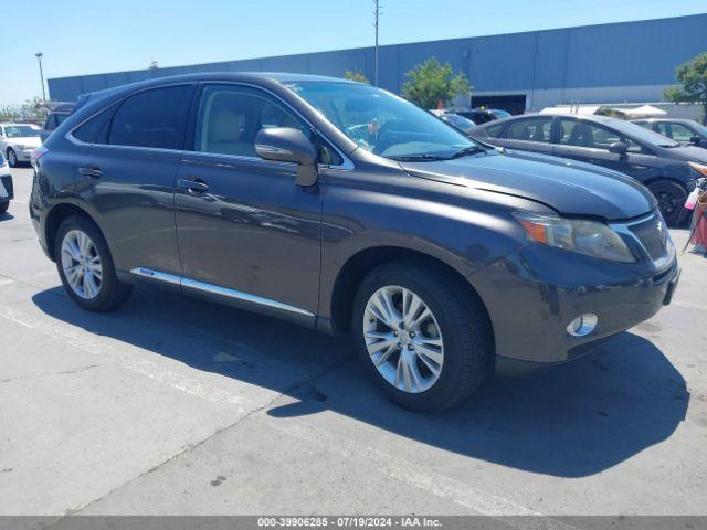  Salvage Lexus RX