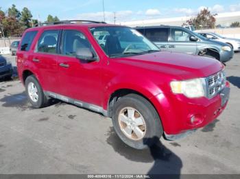  Salvage Ford Escape