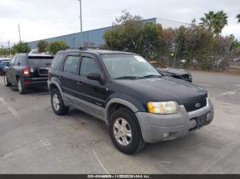  Salvage Ford Escape