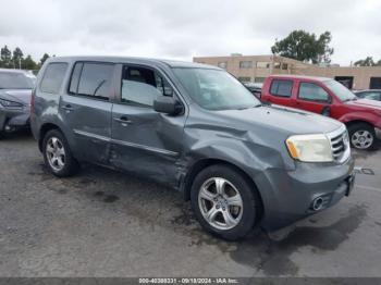  Salvage Honda Pilot