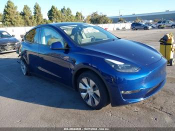  Salvage Tesla Model Y