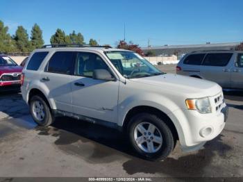  Salvage Ford Escape