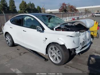  Salvage Tesla Model Y