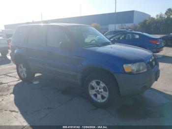  Salvage Ford Escape