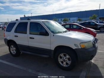  Salvage Ford Escape