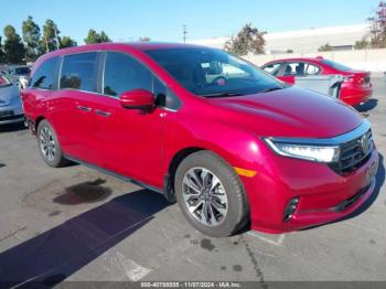  Salvage Honda Odyssey