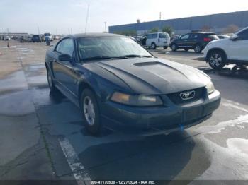  Salvage Ford Mustang