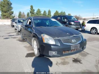  Salvage Nissan Maxima