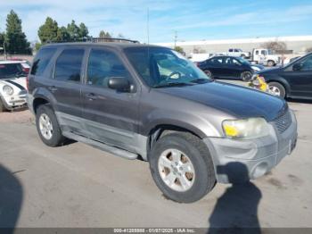  Salvage Ford Escape