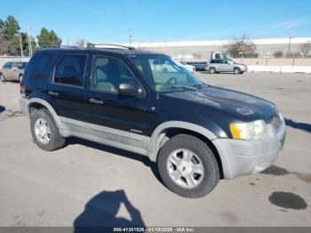  Salvage Ford Escape