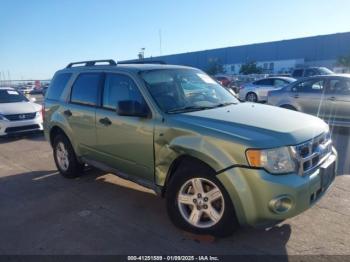  Salvage Ford Escape