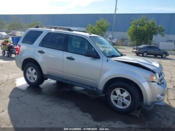  Salvage Ford Escape