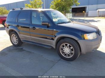  Salvage Ford Escape