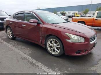  Salvage Nissan Maxima