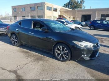  Salvage Nissan Maxima