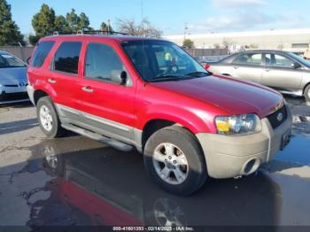  Salvage Ford Escape