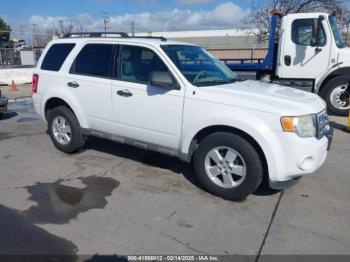  Salvage Ford Escape