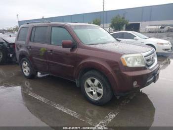  Salvage Honda Pilot