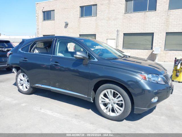  Salvage Lexus RX