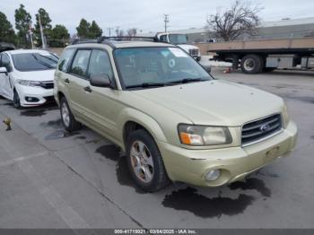  Salvage Subaru Forester