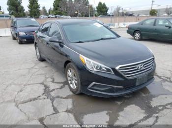  Salvage Hyundai SONATA