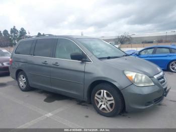  Salvage Honda Odyssey