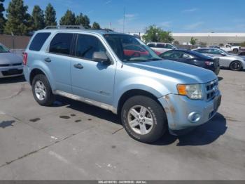  Salvage Ford Escape