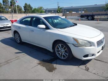  Salvage Nissan Maxima