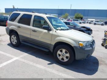  Salvage Ford Escape