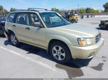  Salvage Subaru Forester
