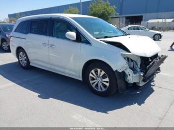  Salvage Honda Odyssey