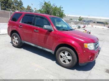  Salvage Ford Escape