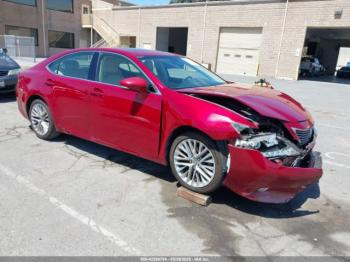  Salvage Lexus Es