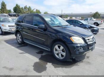  Salvage Mercedes-Benz M-Class