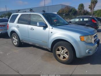  Salvage Ford Escape