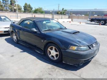  Salvage Ford Mustang