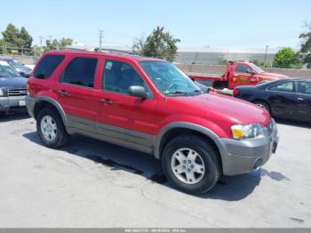  Salvage Ford Escape