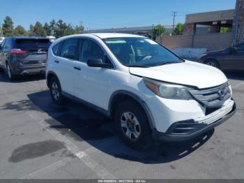  Salvage Honda CR-V