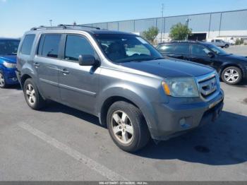  Salvage Honda Pilot