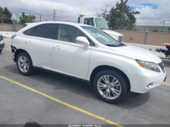  Salvage Lexus RX