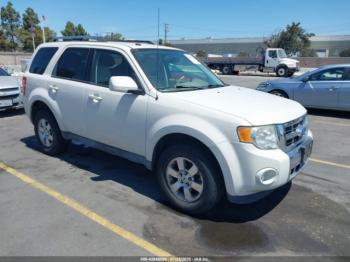  Salvage Ford Escape